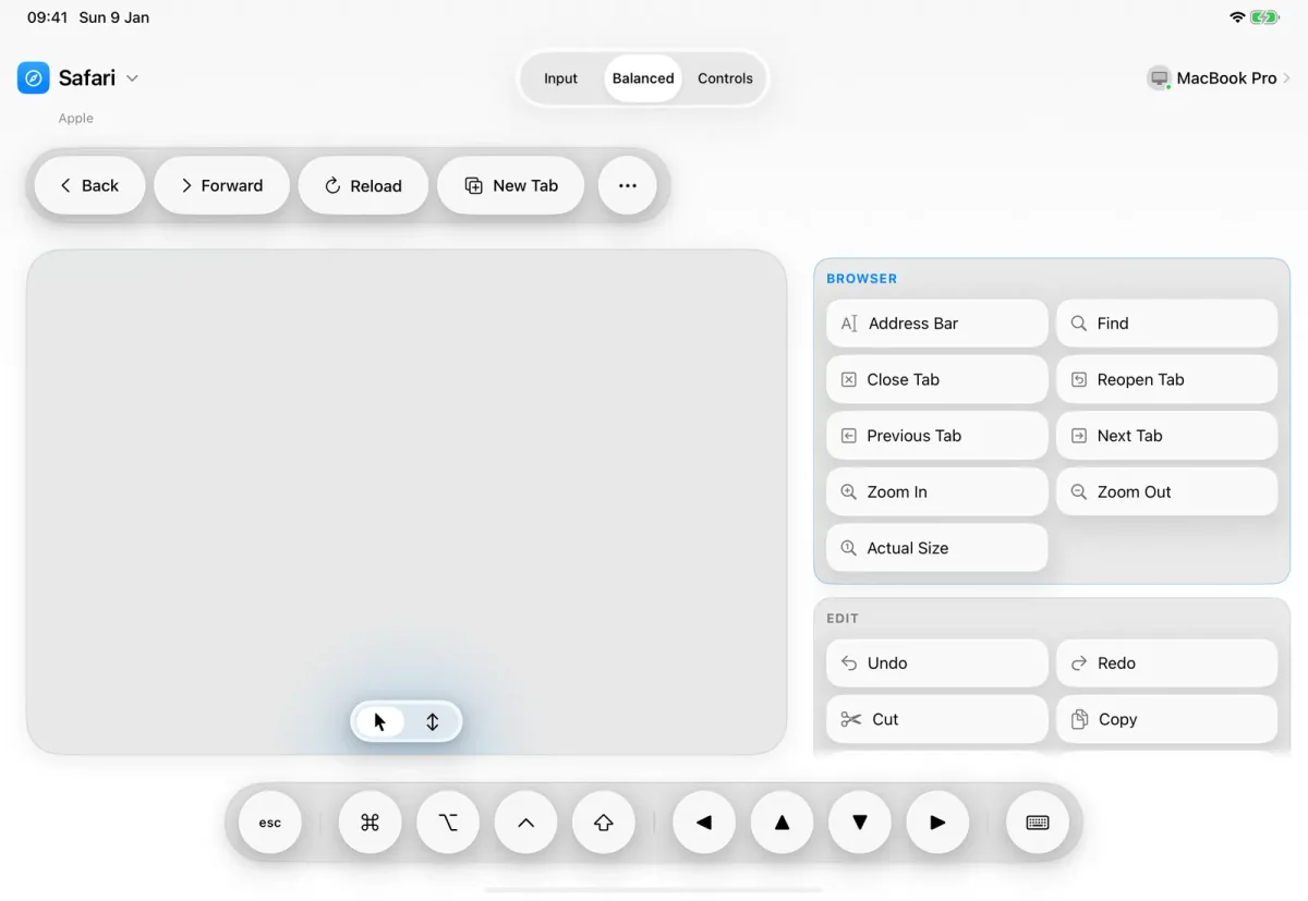 ControlPad on iPad in the Balanced layout: a trackpad beside Safari's commands