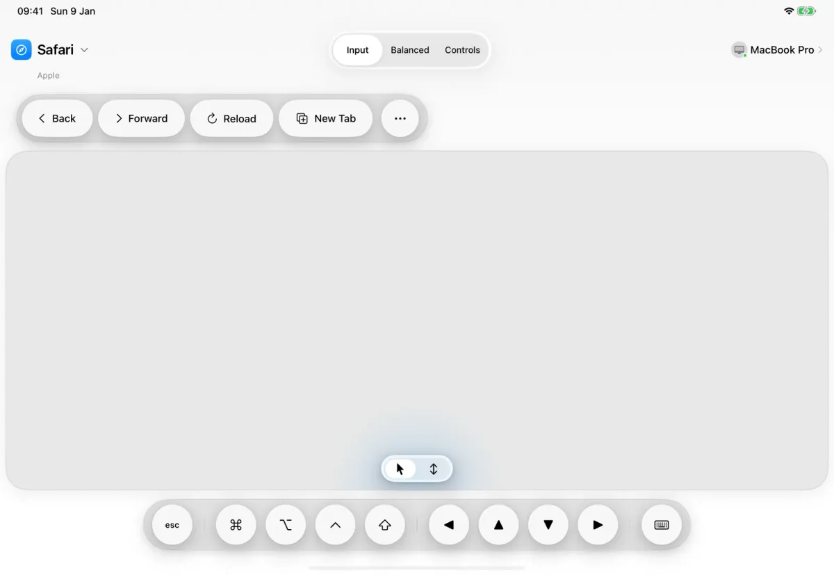 ControlPad on iPad in the Input layout, where the whole screen is a trackpad