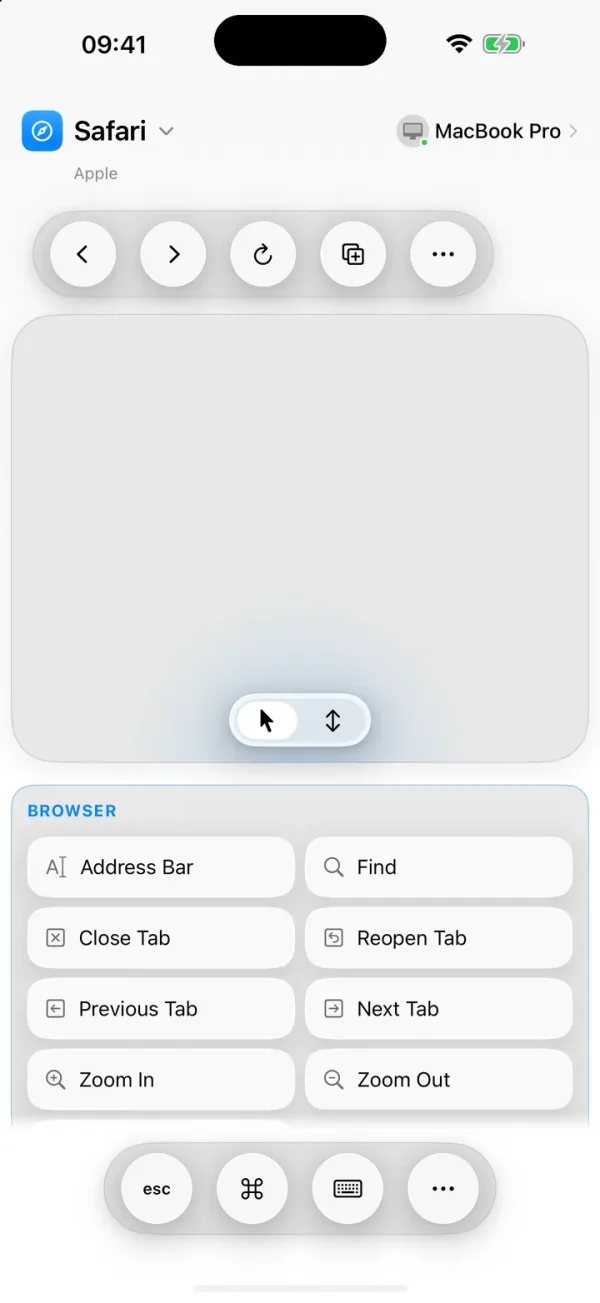 ControlPad on iPhone in the Balanced layout with Safari's commands